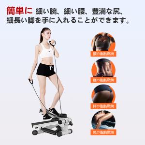 AORTD ステッパー ハンドル付き ダイエッ...の詳細画像5