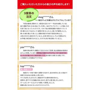 AORTD 振動マシン 最新型モデル バランス...の詳細画像2