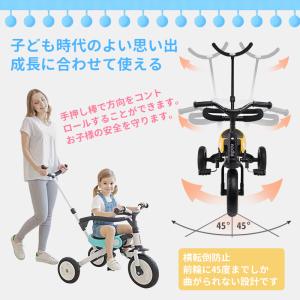 AORTD 三輪車 5in1手押し棒付き バラ...の詳細画像4