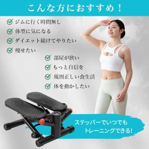 AORTD ステッパー 負荷調整付き ダイエッ...の詳細画像2
