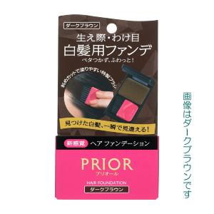 SHISEIDO（資生堂） ネールファイルNA 501 : 化粧品のクロバー
