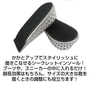 シークレット インソール 2足セット かかと用...の詳細画像3