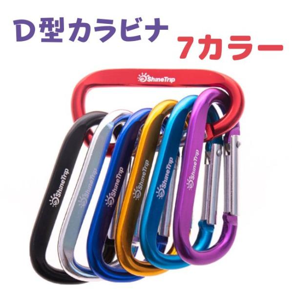 カラビナ D型 アウトドア 登山 キャンプ 旅行 キーホルダー まとめて メール便