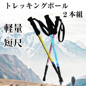 超軽量 200g トレッキングポール 2本組 アンチショック機能 I型 4段伸縮 コンパクト 52〜125cm｜wls