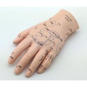 手ツボ・マッサージ補助 経穴模型 手つぼ