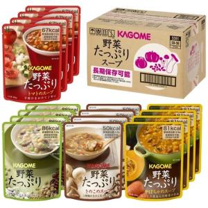 野菜たっぷりスープ SO-50