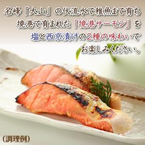 西京漬け 鮭 西京焼き 魚 ギフト 敬老の日 ...の詳細画像1