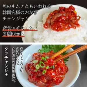 チャンジャ タラ チャンジャ タコ チャンジャ...の詳細画像2