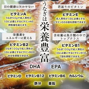 敬老の日 プレゼント おこわ うなぎ ギフト ...の詳細画像4