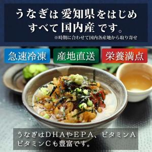 父の日 うなぎ ギフト 2026 ひつまぶし ...の詳細画像4
