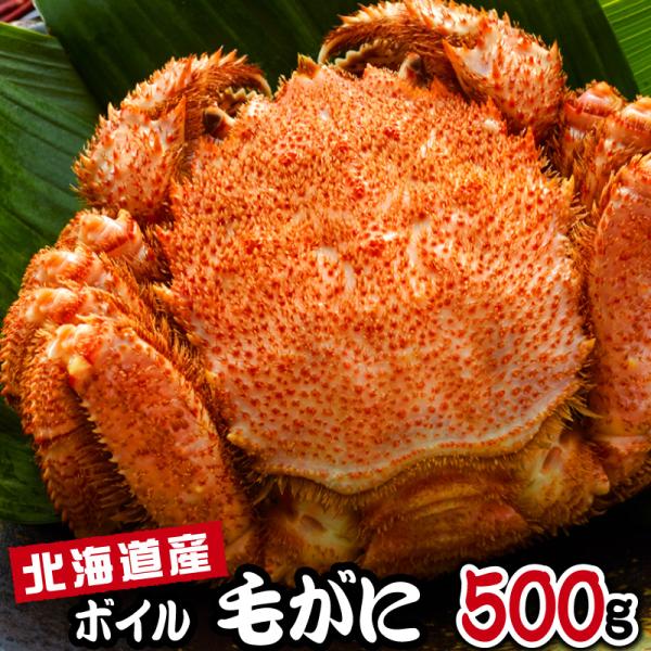 母の日 ギフト 2026 毛ガニ 500g 北海道 毛がに 姿 ボイル かに 蟹 取り寄せ グルメ ...
