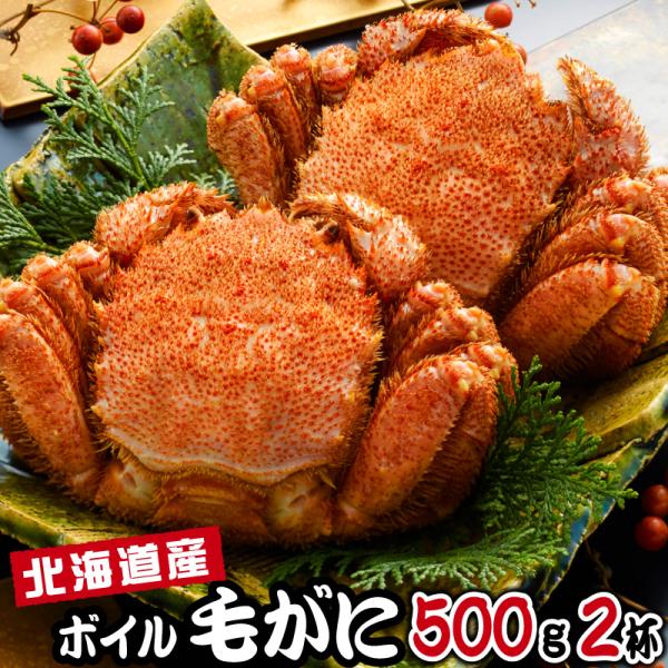 母の日 2026 毛がに 500g 2尾 ギフト 食べ物 花以外 北海道 毛ガニ お取り寄せ カニ ...