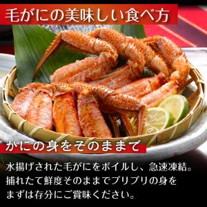 毛がに ギフト 500g 2尾 北海道 毛ガニ...の詳細画像2