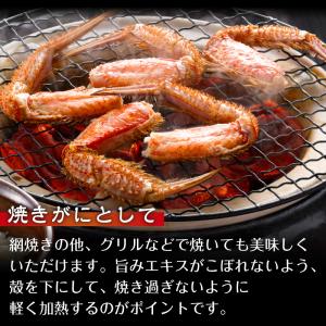 毛がに ギフト 500g 2尾 北海道 毛ガニ...の詳細画像4