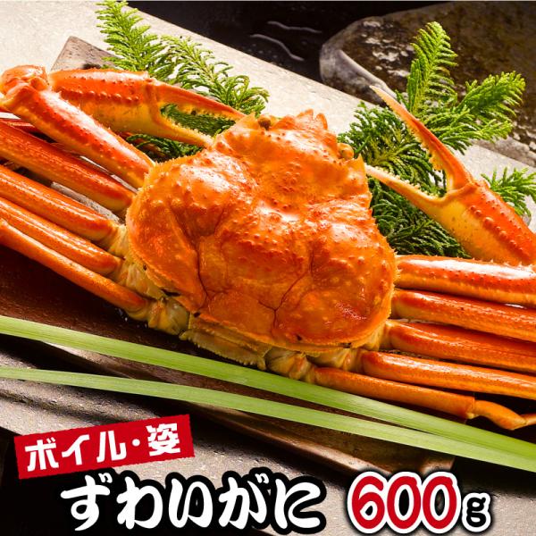 ずわいがに 750g 特大 ズワイガニ ボイル 姿 カニ 海鮮 かに 蟹 ギフト お取り寄せ ごちそ...