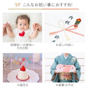 明太子 ギフト 360g お中元 2026 辛...の詳細画像4