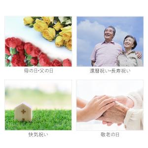 明太子 ギフト 360g お中元 2026 辛...の詳細画像5