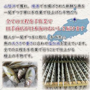 お中元 干物 ギフト 魚 干物セット 無添加 ...の詳細画像1