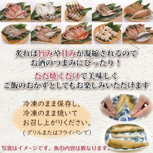 お中元 干物 ギフト 魚 干物セット 無添加 ...の詳細画像2