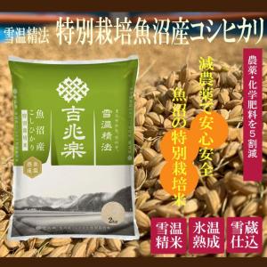 特別栽培米 氷温熟成 魚沼産こしひかり 10k...の詳細画像1