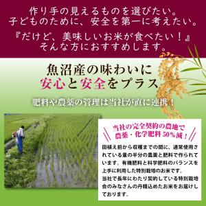 特別栽培米 氷温熟成 魚沼産こしひかり 10k...の詳細画像2