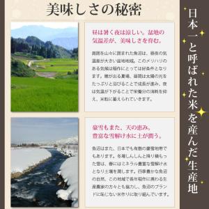 特別栽培米 氷温熟成 魚沼産こしひかり 10k...の詳細画像3