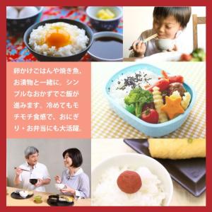 特別栽培米 氷温熟成 魚沼産こしひかり 10k...の詳細画像5