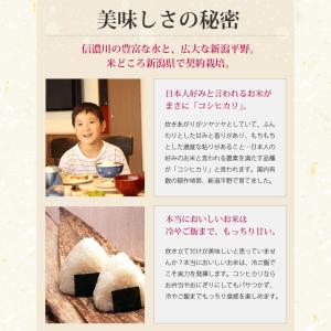 新潟コシヒカリ 新米 10kg 新潟 こしひか...の詳細画像2