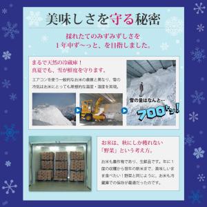 新潟コシヒカリ 新米 10kg 新潟 こしひか...の詳細画像4