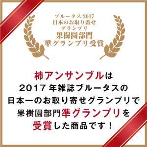 干し柿 バター サンド 柿アンサンブル お中元...の詳細画像1