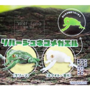 1/1 アメフクラガエル & ソバージ...の詳細画像2