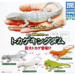 はちゅはちゅ チャーム 〜レオパ・ニシアフ〜 レア込み全7種 （定形外