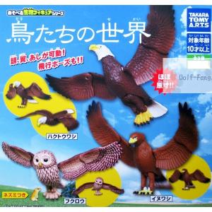 鳥たちの世界 全3種 （定形外可 配送累計 2セット分まで）