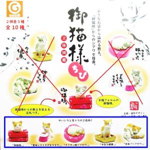 御猫様 ちび 立体図鑑 （茶トラ 全5種） （定形外発送可 一配送累計 2セット分まで）｜wolffang