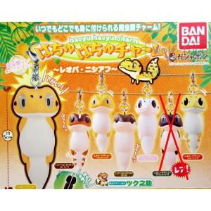 お譲り パーツ チャーム ふわふわレオパチャーム セット売り♡ はちゅはちゅ チャーム 〜レオパ・ニシアフ〜 レア込み全7種 （定形外