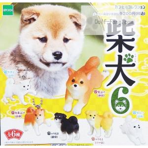 柴犬６ 全６種（定形外発送可 配送累計 ２セット分まで）