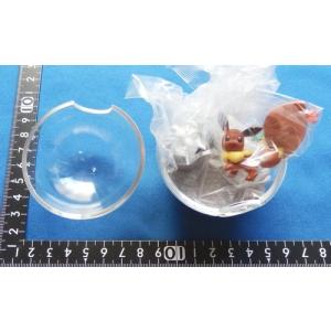 ポケモンテラリウム イーブイの商品一覧 通販 Yahoo ショッピング