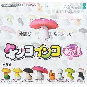 キノコインコ　新種 全８種（定形外発送可 配送累計 ２セットまで）｜wolffang