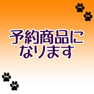 【7月予約】実験しよう! 理科マスコット (定形...の商品画像