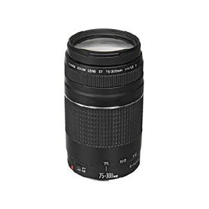 Canon EFレンズ EF75-300mm F4-5.6 IIIズームレンズ 望遠 並行輸入品