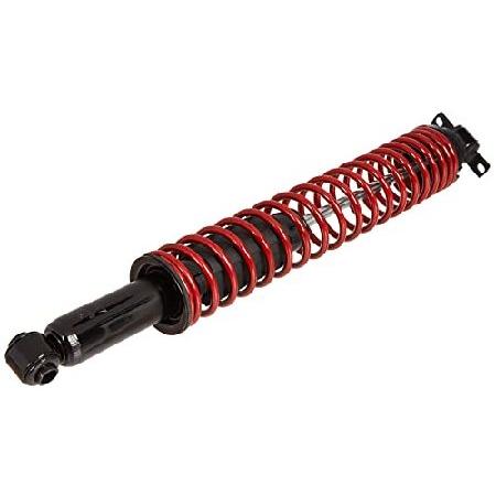 ACDelco 519-21 Specialty Rear Spring Assisted Shoc...
