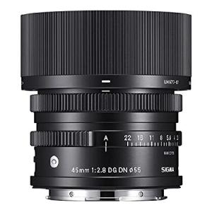 【外観特上級】パナソニック 単焦点 3Dレンズ マイクロフォーサーズ用 ルミックス G 12.5mm/F12 H-FT012 Amazon.co.jp: パナソニック 単焦点 3Dレンズ マイクロフォー