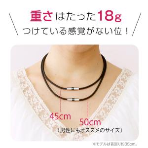 レビューで送料無料 ギフト ファイテン RAK...の詳細画像4