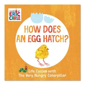 【洋書】卵はどうやって生まれるの？はらぺこあおむしのライフサイクル [エリック・カール] How Does an Egg Hatch？ Life Cycles [Eric Carle] 絵本｜womensfitness
