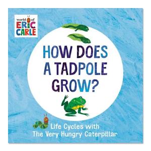 【洋書】おたまじゃくしはどうやって育つの？はらぺこあおむしのライフサイクル [エリック・カール] How Does a Tadpole Grow？ Life Cycles 絵本｜womensfitness