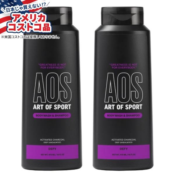 アート オブ スポーツ メンズ 2-in-1 ボディウォッシュ＆シャンプー デファイ Art of ...
