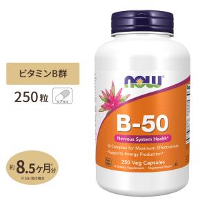 ナウフーズ B-50 サプリメント 250粒 NOW Foods ビタミンB群11種 葉酸 ナイアシン ビオチン パントテン酸 PABA コリン イノシトール お得サイズ｜Costopa