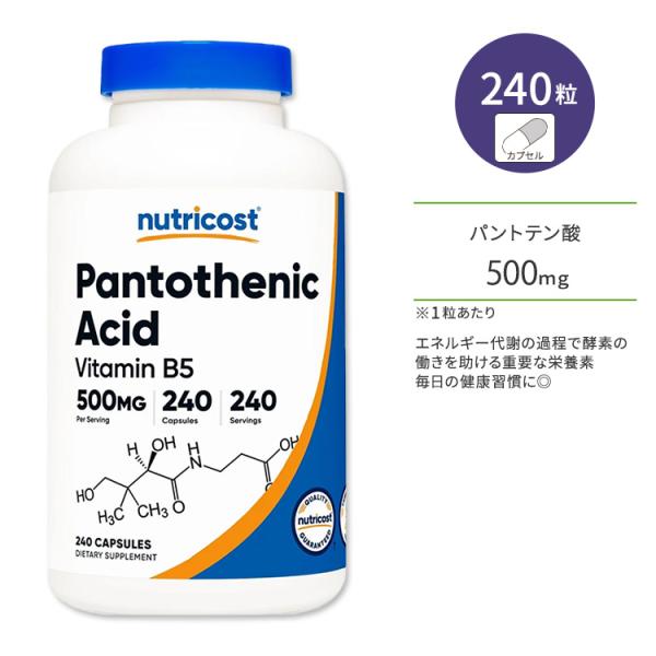 ニュートリコスト パントテン酸 ビタミンB5 500mg カプセル 240粒 Nutricost P...