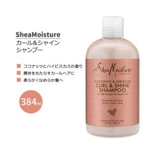ニオキシン スカルプ + ヘア シックニング システム 4 セット Nioxin