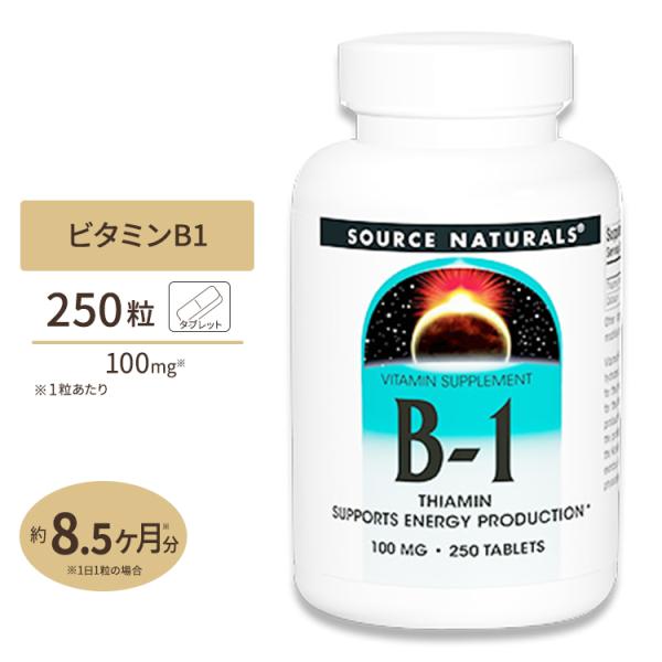 ビタミンB1 100mg 250粒 タブレット Source Naturals (ソースナチュラルズ...